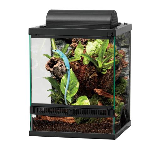 Zilla Choosing the Right Terrarium for You and Your Pet