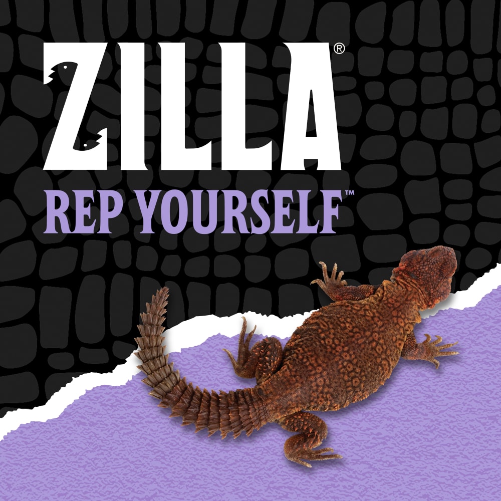 zilla-lifestyle20-brandings