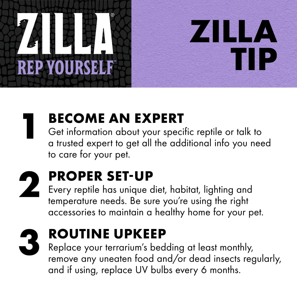 zilla-infographic10-education02