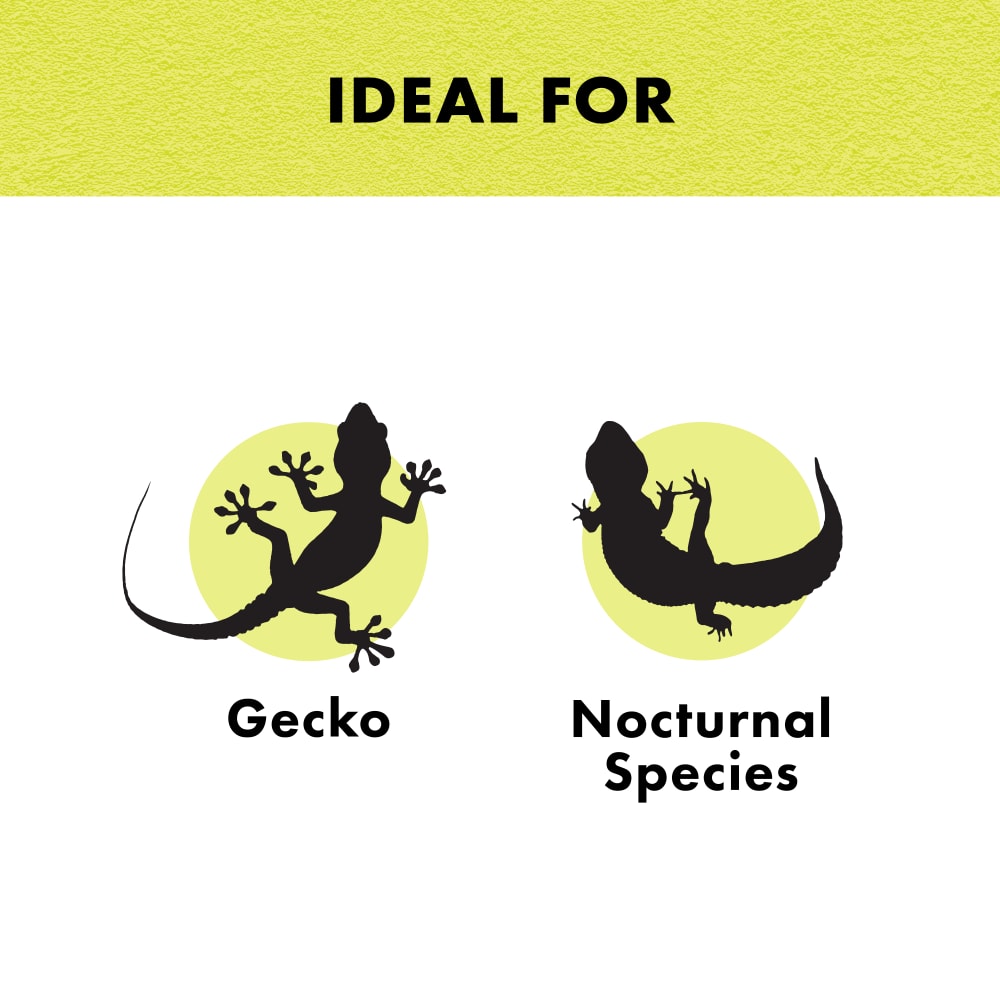 Ideal for geckos and nocturnal species