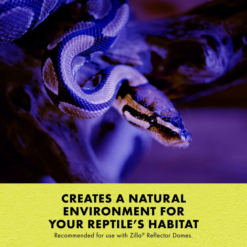 Incandescent bulbs create a natural environment for your reptiles habitat