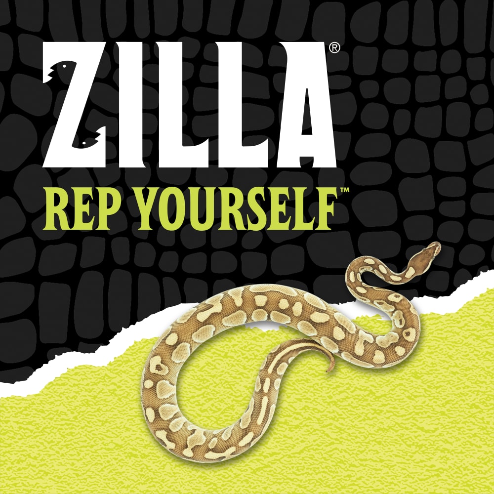 Zilla rep yourself with a snake over black scale background ripped halfway into green