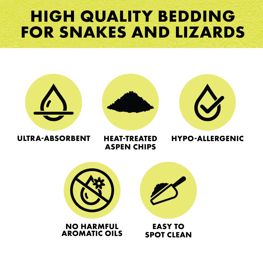 snakelizard-infographic02
