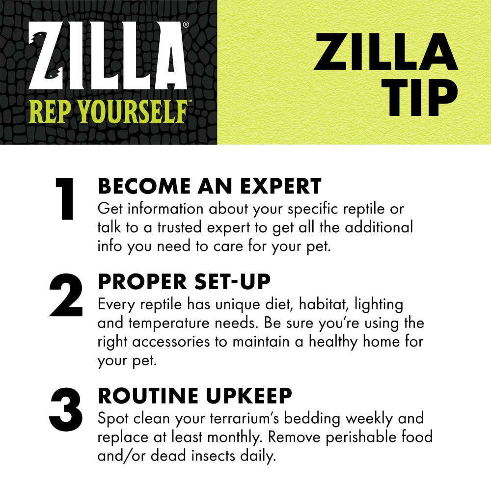 zilla-infographic10-educationlitter