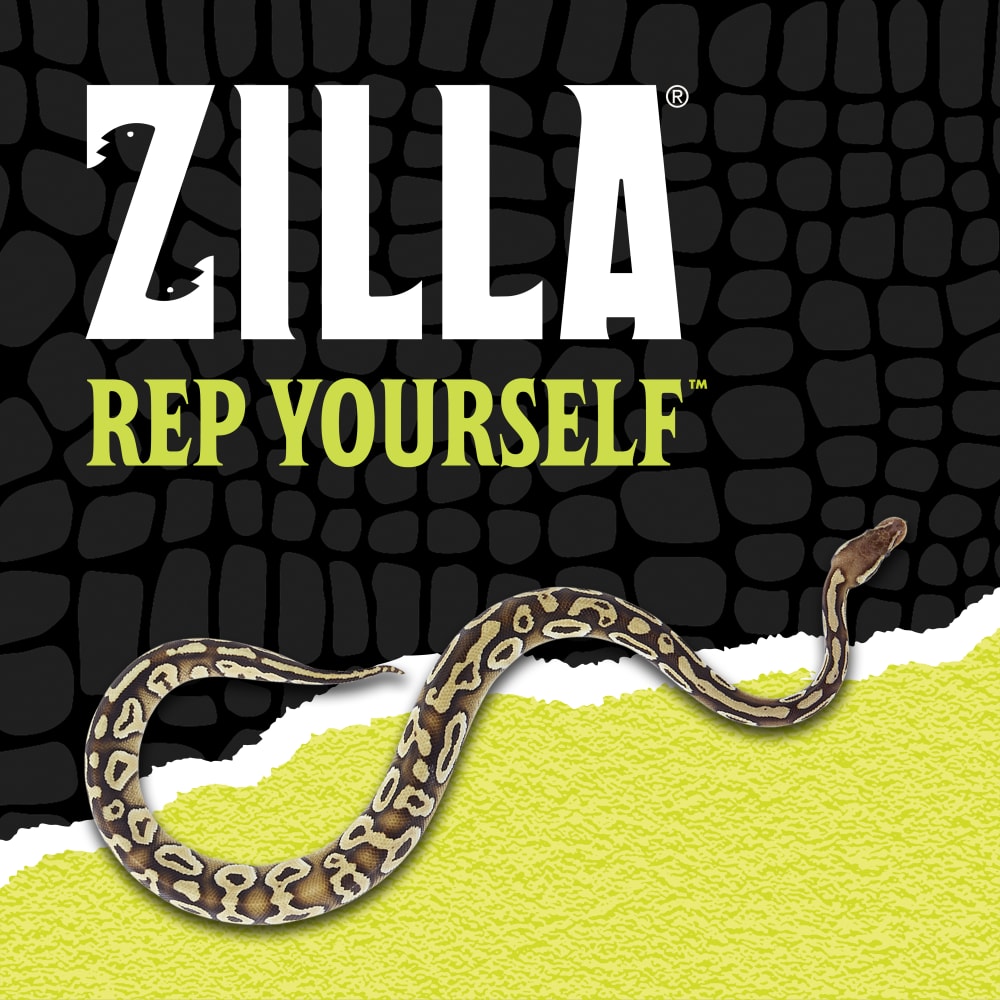 zilla-lifestyle20-brandingj