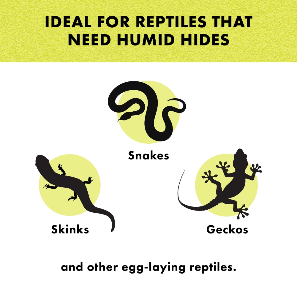 Ideal for reptiles that need humid hides & other egg-laying reptiles