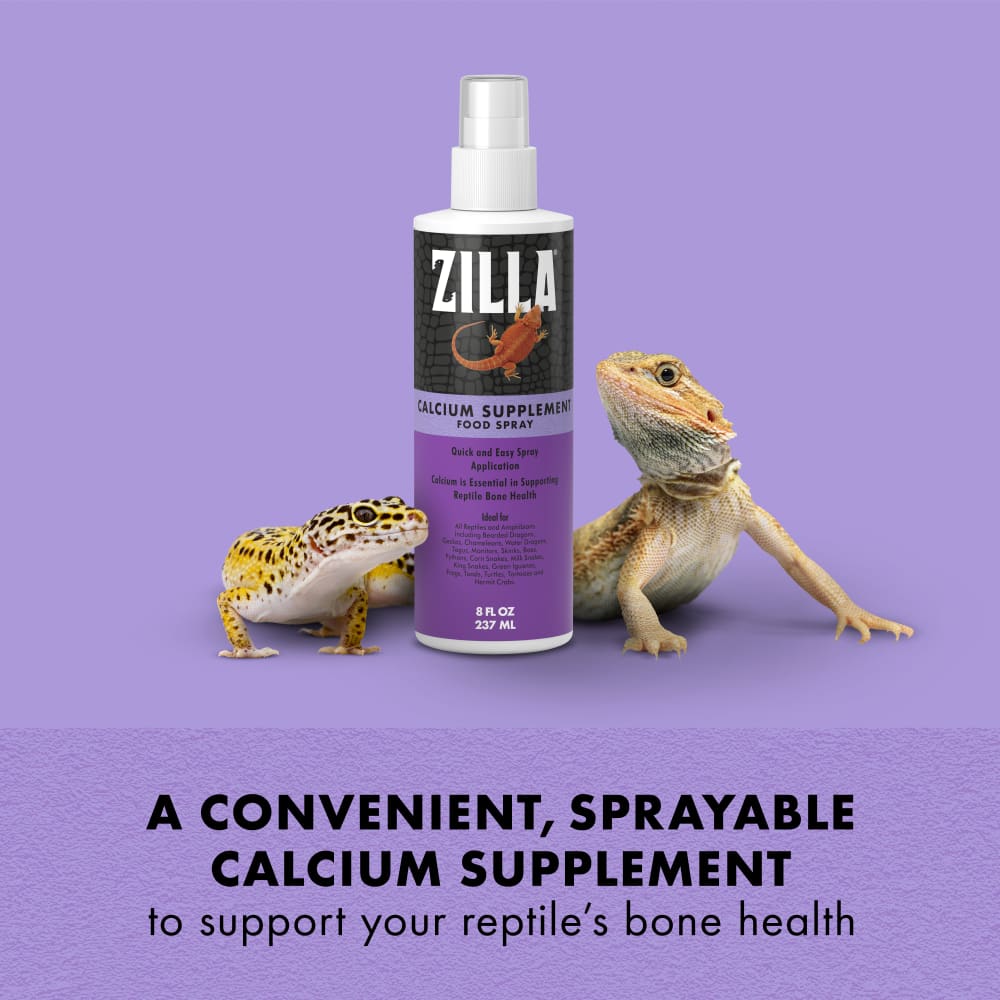 calcium-infographic01