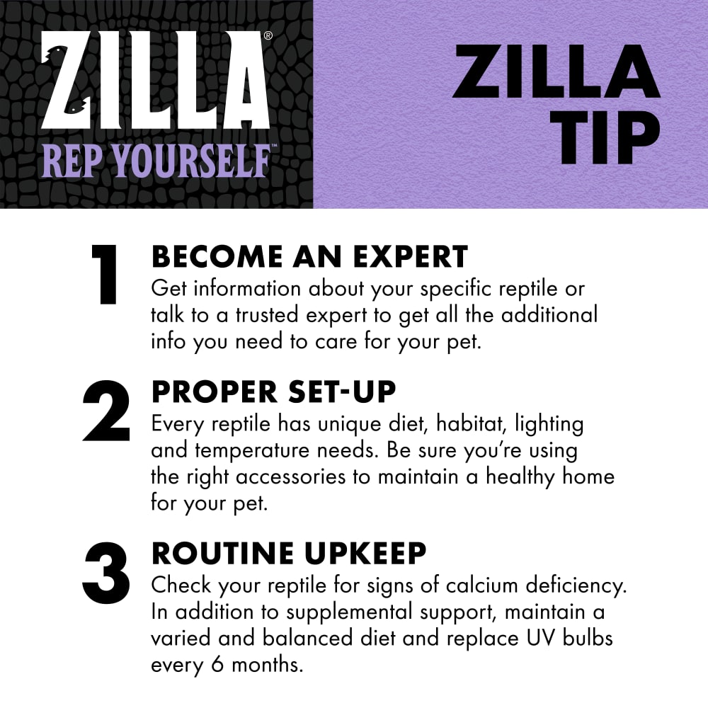 zilla-infographic10-educationcalcium