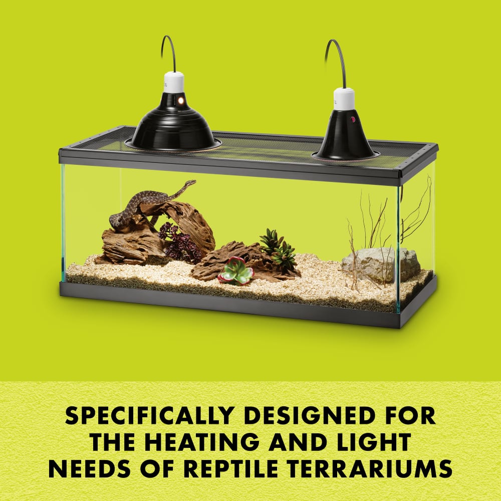 Specifically designed for the heating and lighting needs of reptile terrariums