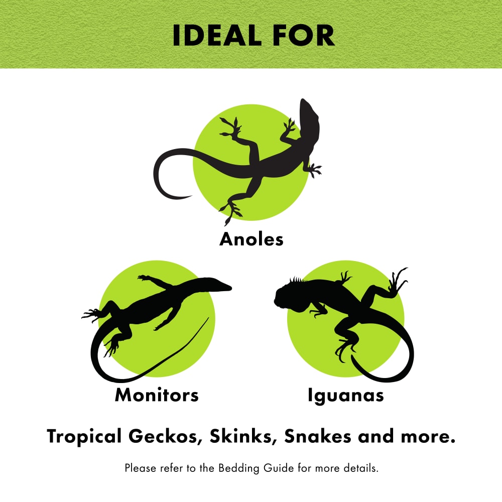 linergreen-infographic03