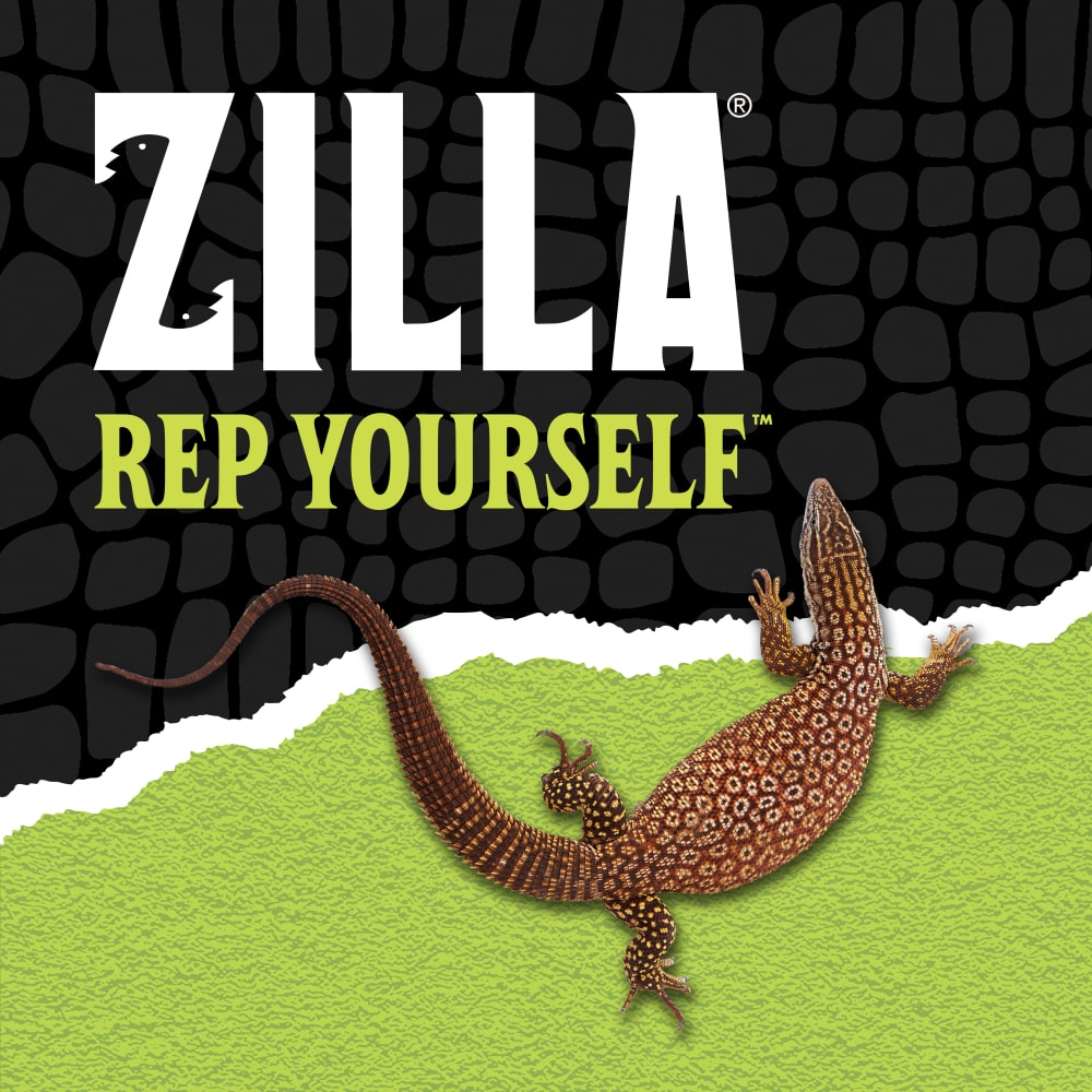 zilla-lifestyle20-brandingk