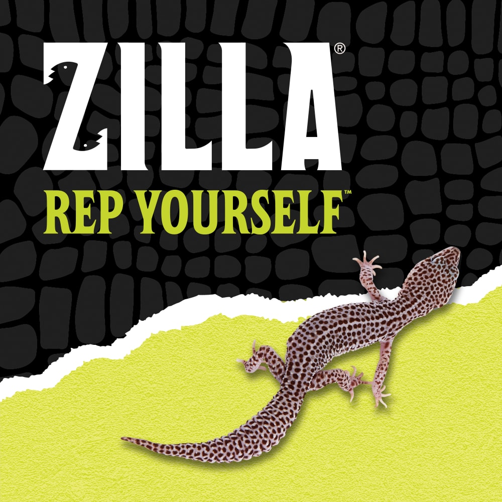 Zilla rep yourself with a lizard over black scale background ripped halfway into yellow