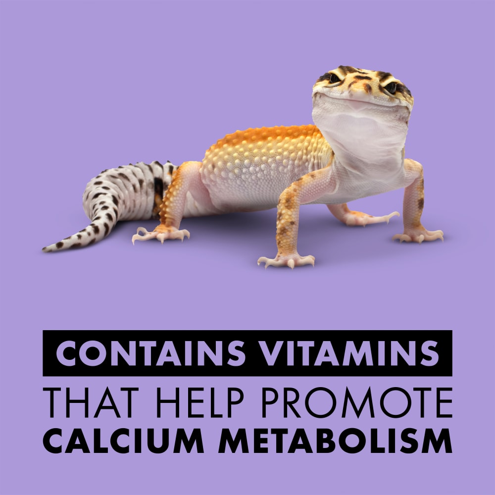sapm100111846-infographic02