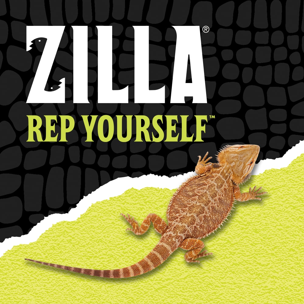 Zilla Rep yourself