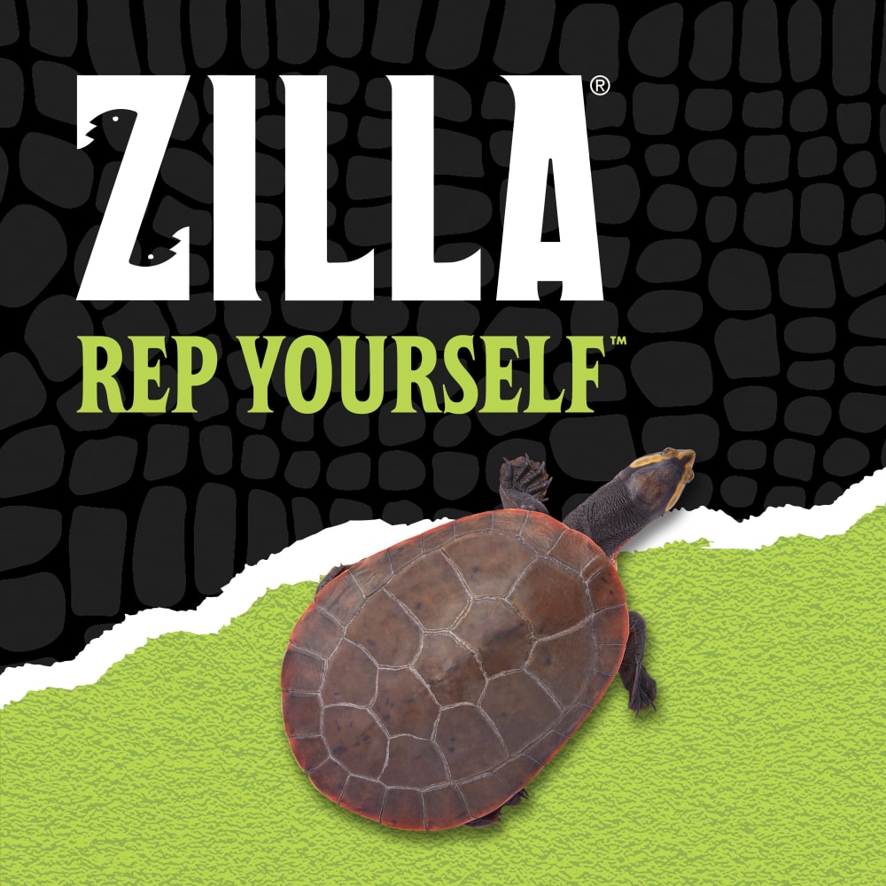 zilla-lifestyle20-brandingw