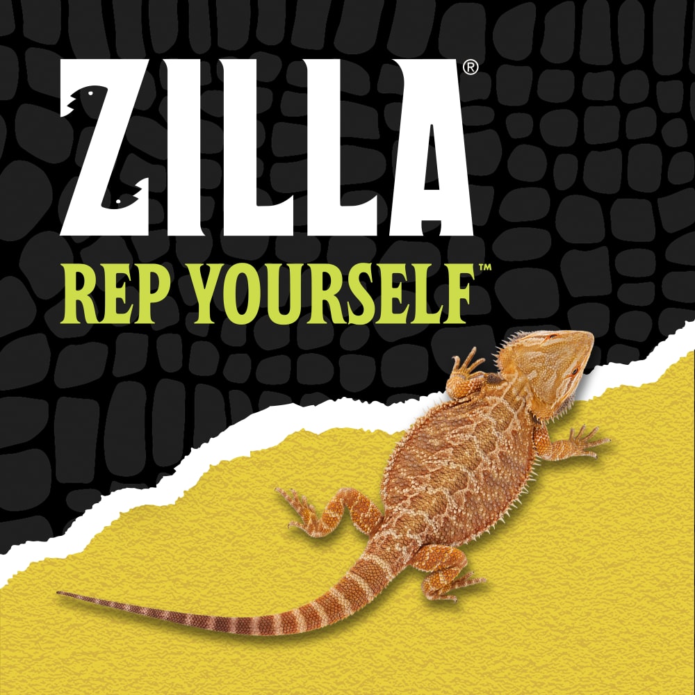 zilla-lifestyle20-brandingg