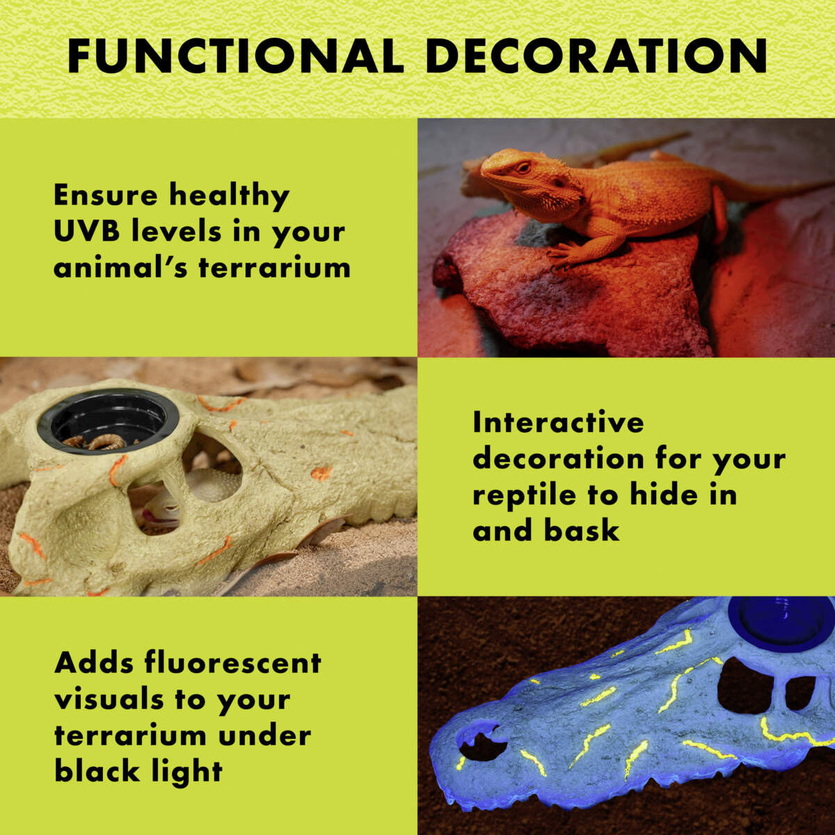 096316002180_Zilla_Rapid_Sense_Decor_Large_Crocodile_Skull_pk_side