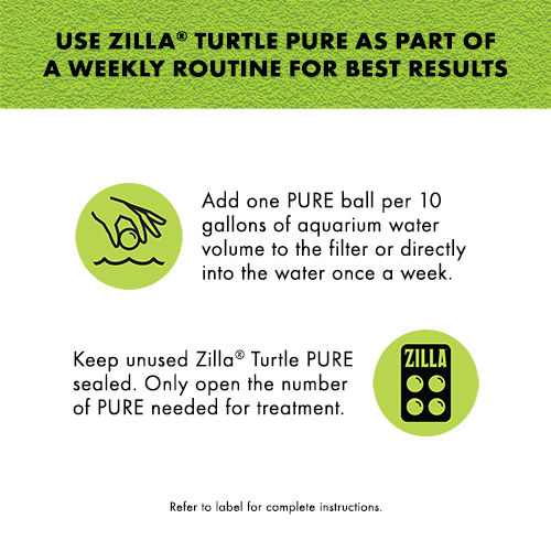 Turtle Pure_Infographic04